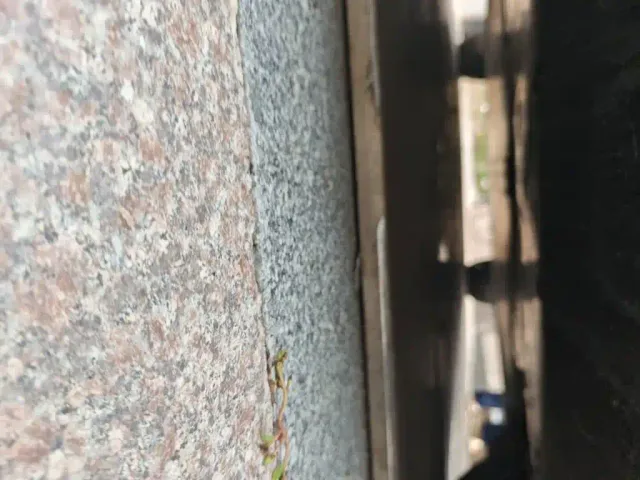 Tesla Model Y — Фото автомобиля 23
