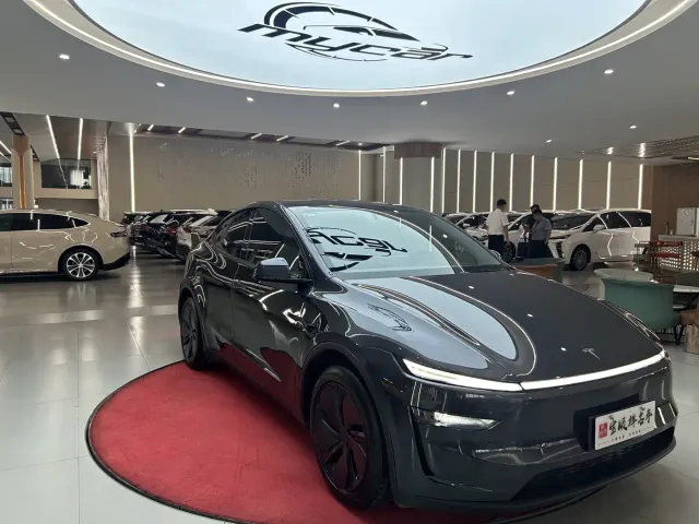 Tesla Model Y — Фото автомобиля 3