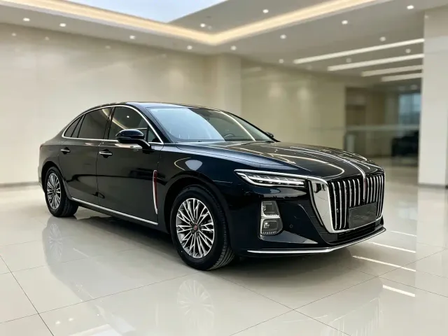 Hongqi Hongqi H5 2024 1.5T DCT Smart Connect Flag Rhythm Edition — Фото автомобиля 3