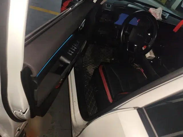 Haval Cool Dog — Фото автомобиля 13
