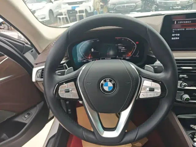 BMW 5 Series — Фото автомобиля 10