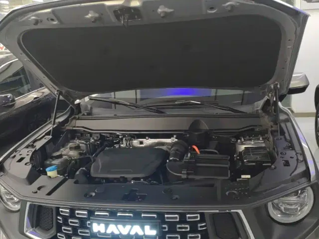 Haval Big Dog — Фото автомобиля 19