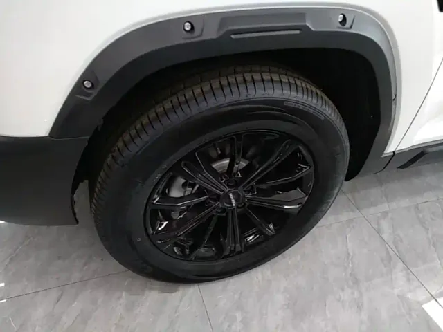 Haval Raptor — Фото автомобиля 22