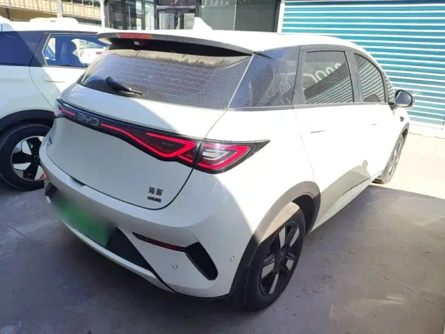 BYD Dolphin — Фото автомобиля 6
