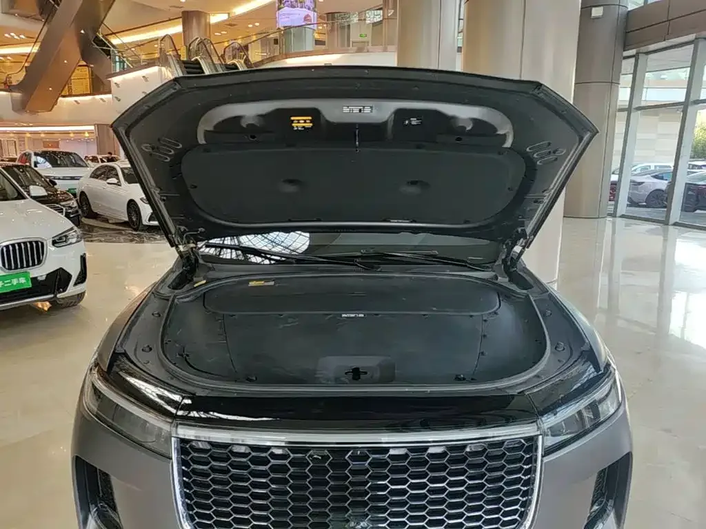 Li Auto Li ONE 2021 Extended Range 6-Seater — Фото автомобиля 23