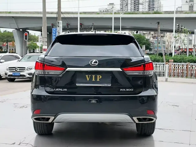 Lexus RX — Фото автомобиля 11
