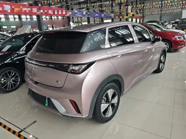 BYD Dolphin — Фото автомобиля 6