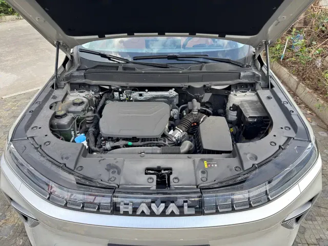 Haval Xiaolong MAX — Фото автомобиля 19