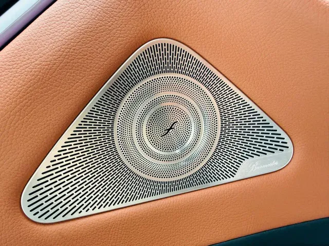 Mercedes-Benz S-Class — Фото автомобиля 23