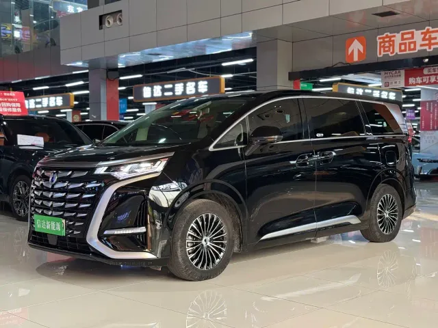 Фотография автомобиля — Denza D9