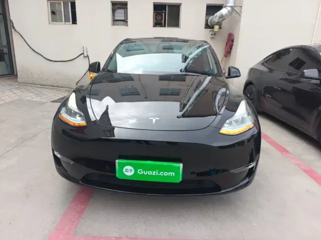 Tesla Model Y — Фото автомобиля 2