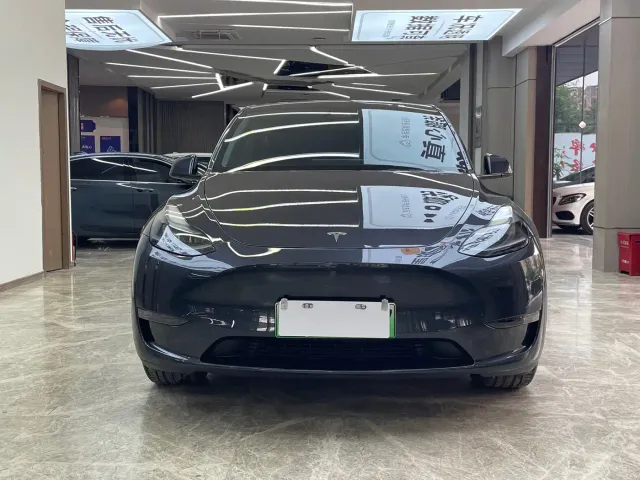 Tesla Model Y — Фото автомобиля 2