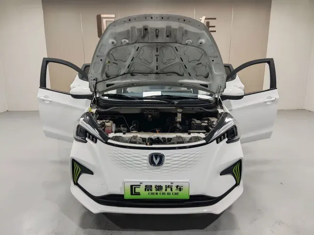 Changan Benben E-Star — Фото автомобиля 13