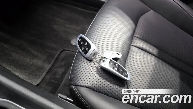 Hyundai Sonata Sonata (DN8) 2.0 LPG(Для проката) — Фото автомобиля 16