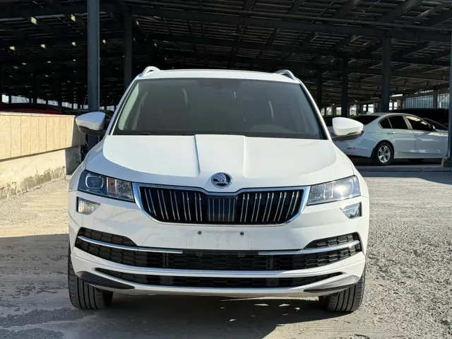 Skoda Karoq — Фото автомобиля 2
