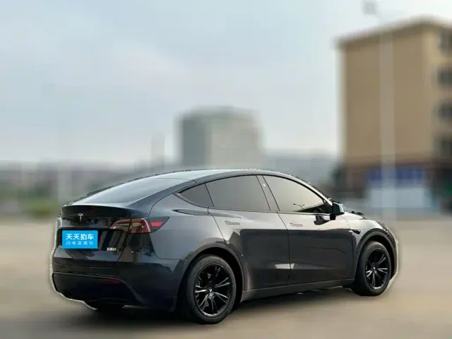 Tesla Model Y — Фото автомобиля 2
