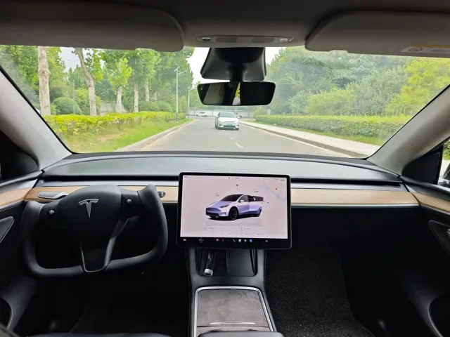 Tesla Model Y — Фото автомобиля 6