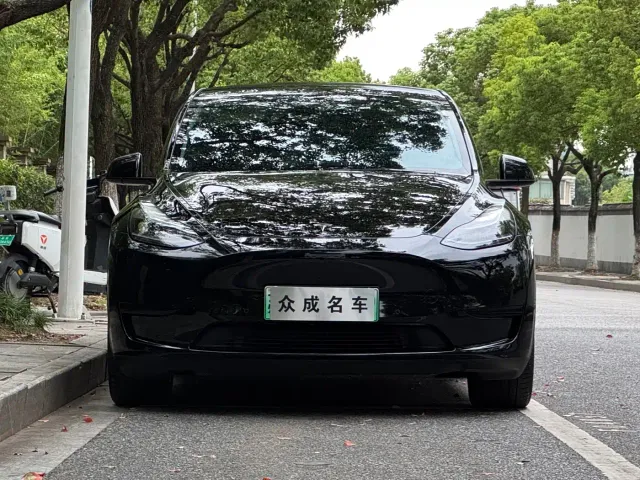 Tesla Model Y — Фото автомобиля 2