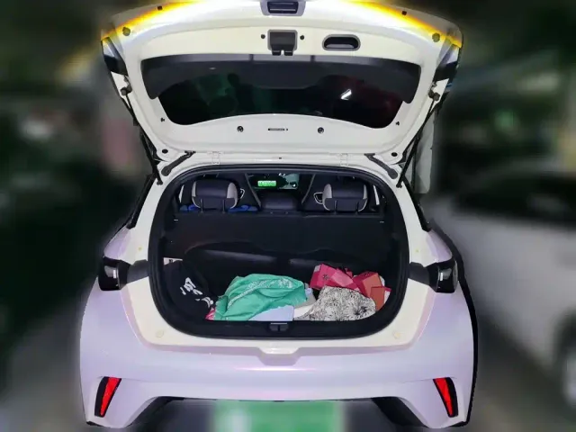BYD Dolphin — Фото автомобиля 20