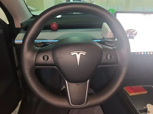 Tesla Model Y — Фото автомобиля 10