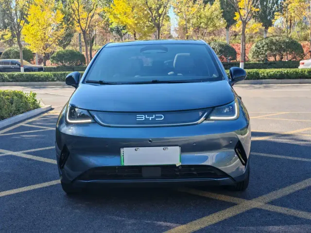 BYD Dolphin — Фото автомобиля 2