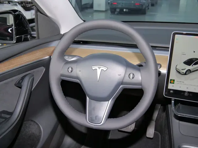 Tesla Model Y — Фото автомобиля 14