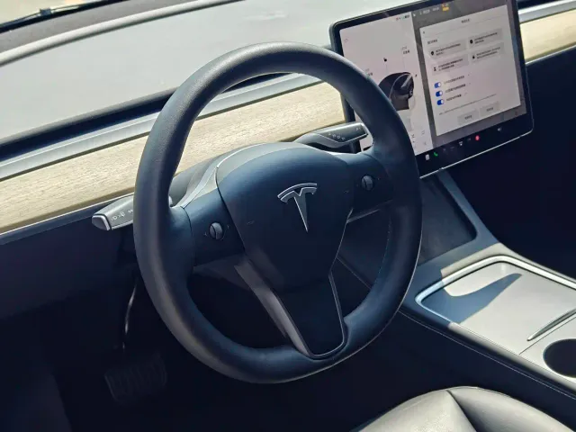 Tesla Model Y — Фото автомобиля 9