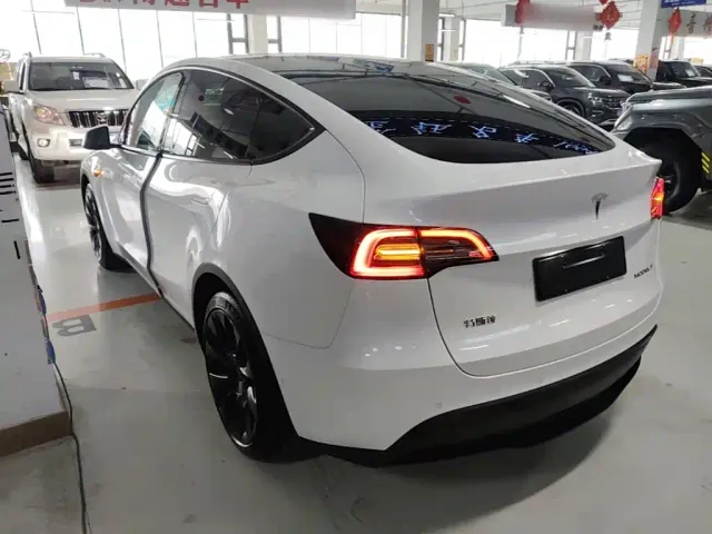 Tesla Model Y — Фото автомобиля 4