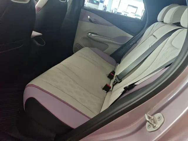 BYD Dolphin — Фото автомобиля 16