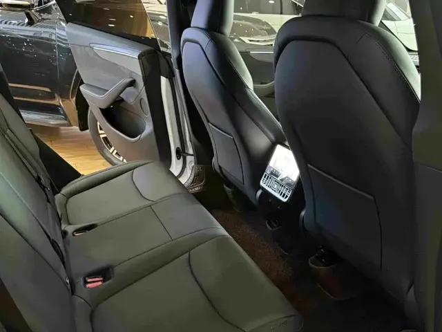 Tesla Model Y — Фото автомобиля 10