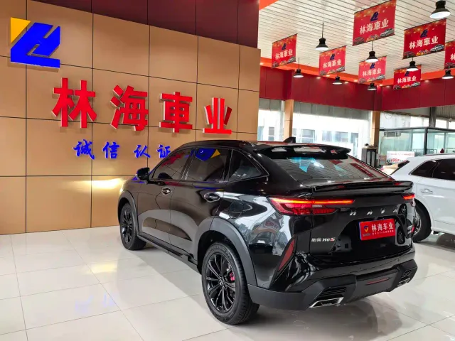 Haval H6S — Фото автомобиля 14
