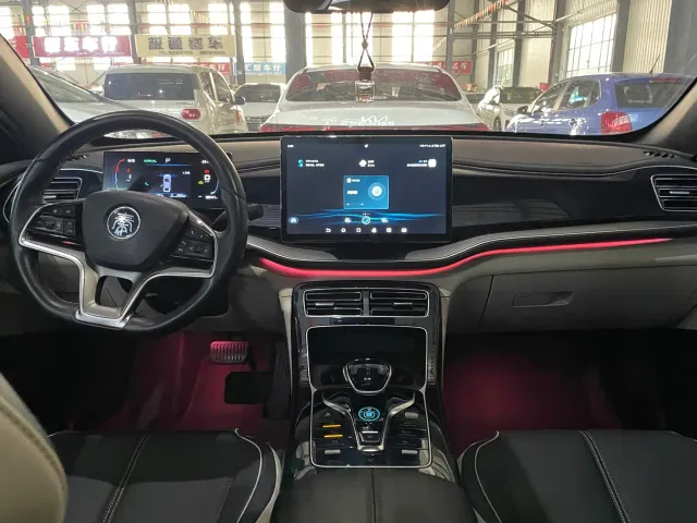 BYD Qin PLUS — Фото автомобиля 9