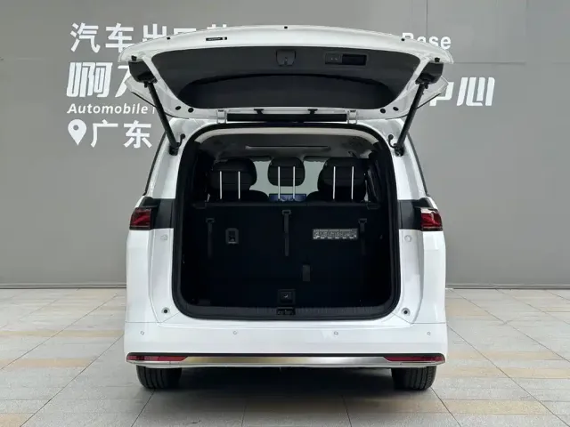 BYD M9 — Фото автомобиля 14