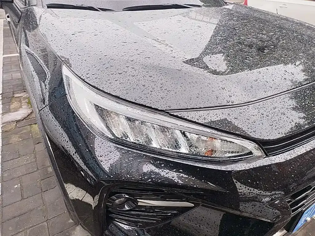 Toyota Wildlander 2022 2.0L CVT FWD Luxury PLUS Edition — Фото автомобиля 10