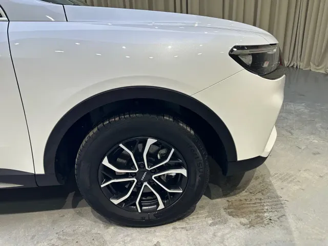 Haval H6 — Фото автомобиля 21