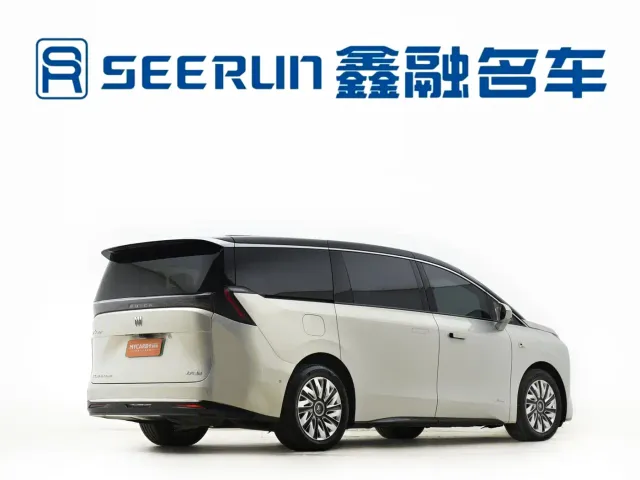 Buick Zhijing Shijia — Фото автомобиля 19