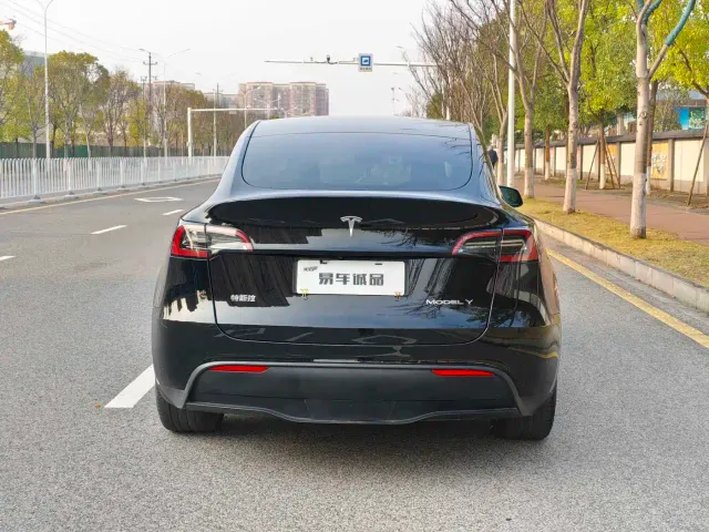 Tesla Model Y — Фото автомобиля 4