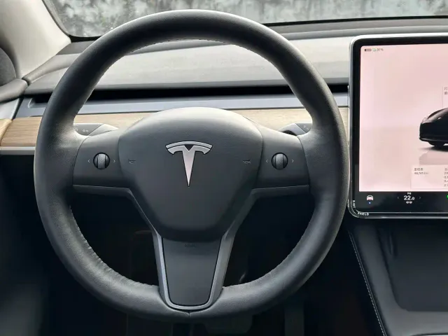 Tesla Model Y — Фото автомобиля 12