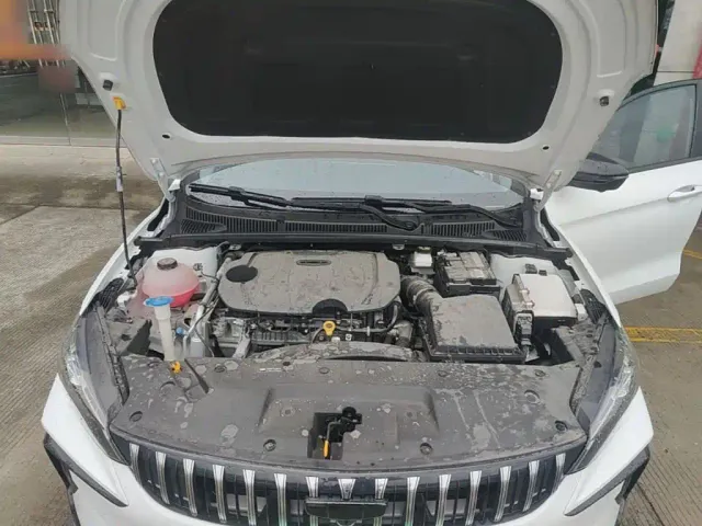Geely Binrui — Фото автомобиля 19