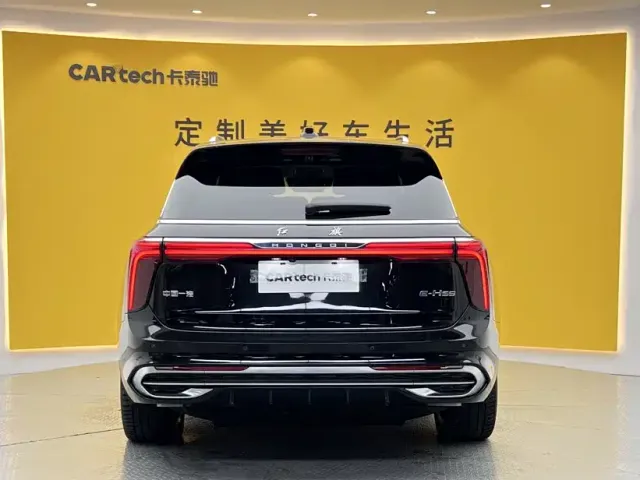 Hongqi E-HS9 — Фото автомобиля 5