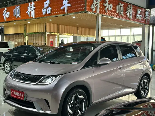 BYD Dolphin — Фото автомобиля 18