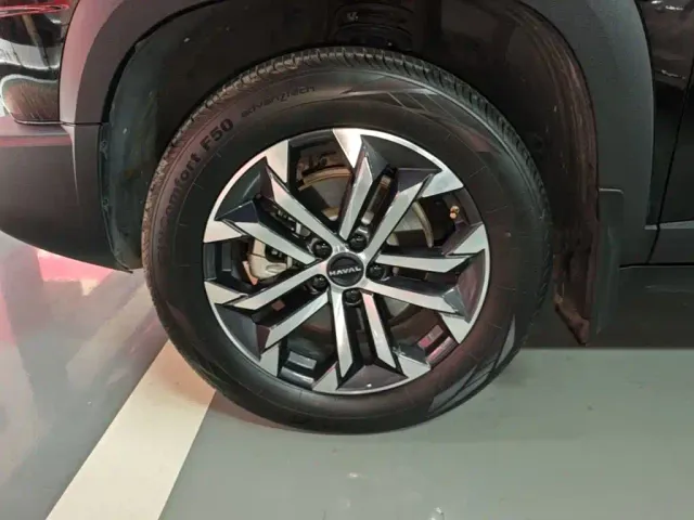 Haval Big Dog — Фото автомобиля 22
