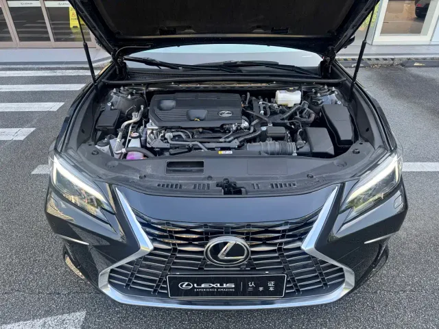 Lexus ES — Фото автомобиля 6