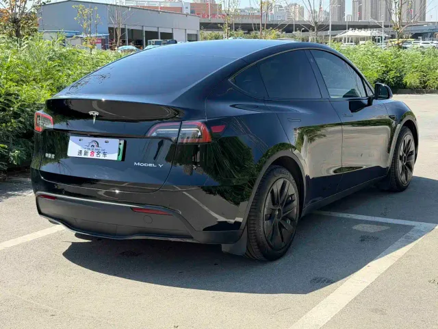 Tesla Model Y — Фото автомобиля 7
