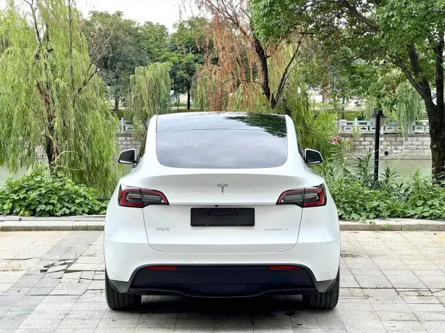 Tesla Model Y — Фото автомобиля 8