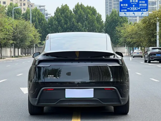 Tesla Model Y — Фото автомобиля 4