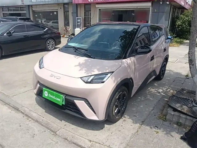 Фотография автомобиля — BYD Seagull