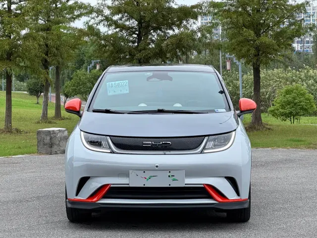 BYD Dolphin — Фото автомобиля 2