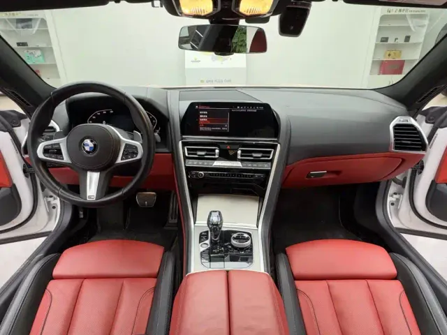 BMW 8 Series — Фото автомобиля 11