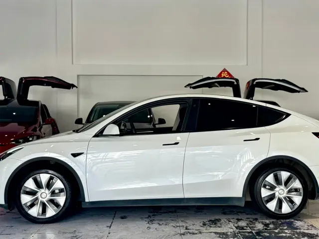 Tesla Model Y — Фото автомобиля 7